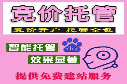 SEM竞价广告优化全攻略：经典案例解析
